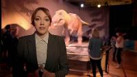 Click to watch 'Beginnings' (popup) Cunk On Britain